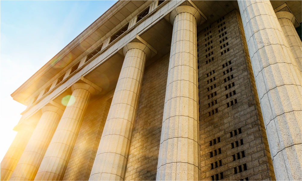 Public Sector Consulting